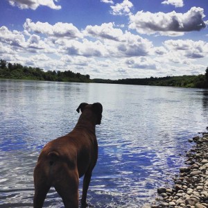 Jaxie and I going for one of our daily adventures.